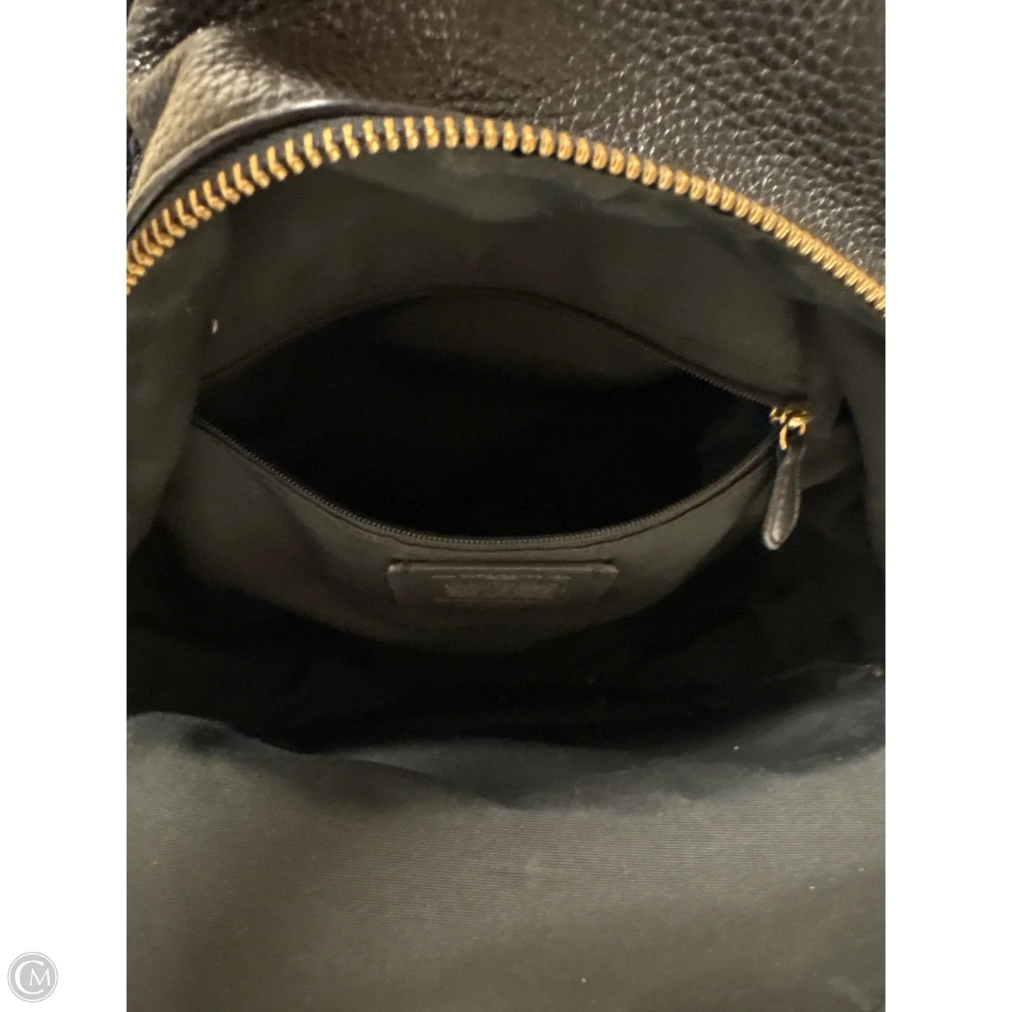 Backpack Designer By Coach, Size: Medium