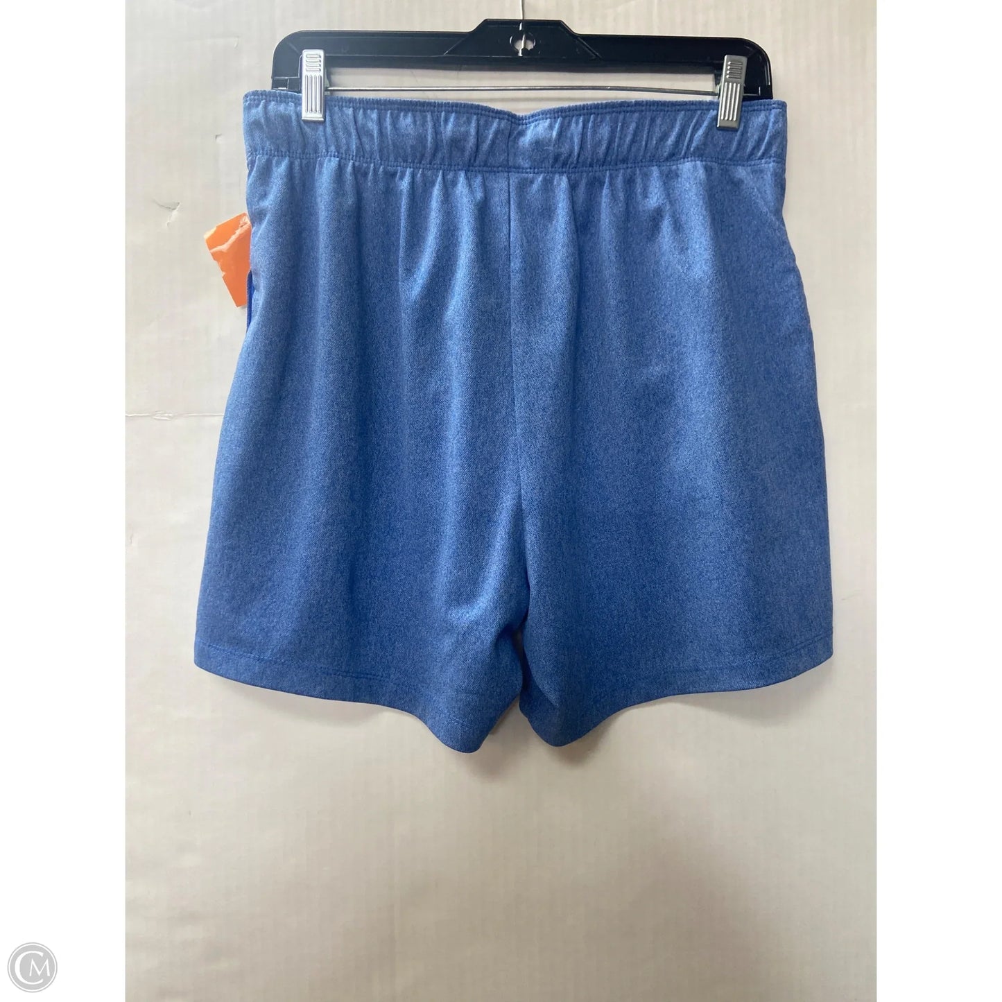 Athletic Shorts By Nike In Blue, Size: M
