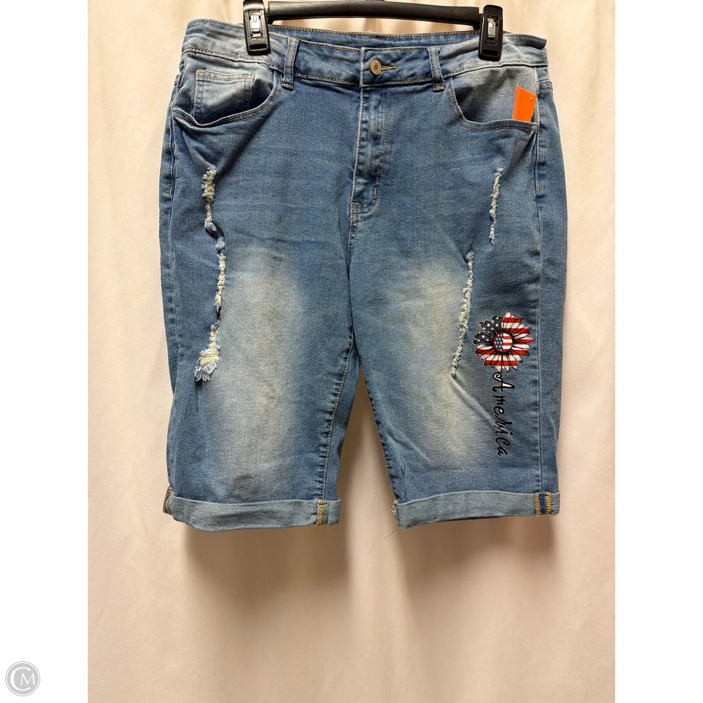 Shorts By Clothes Mentor In Blue Denim, Size: L