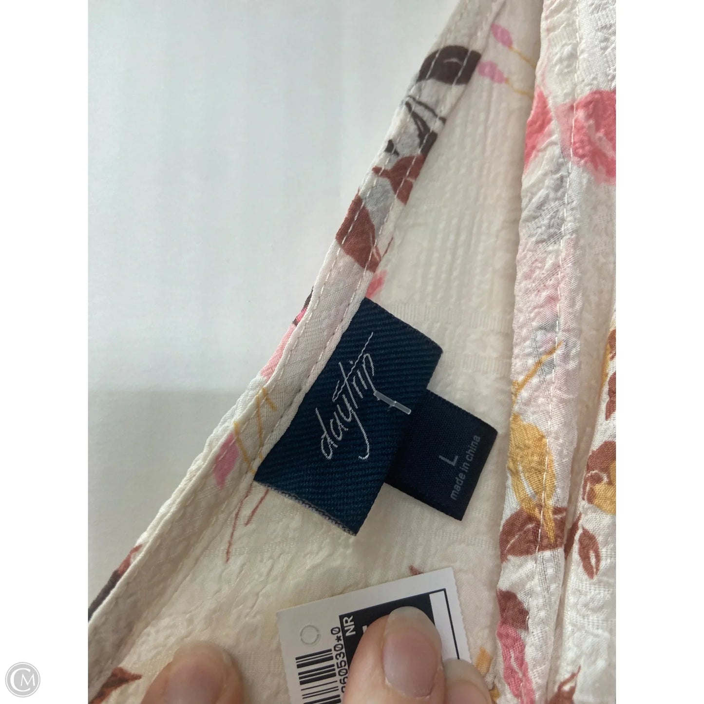 Top Short Sleeve By Daytrip In Tan, Size: L
