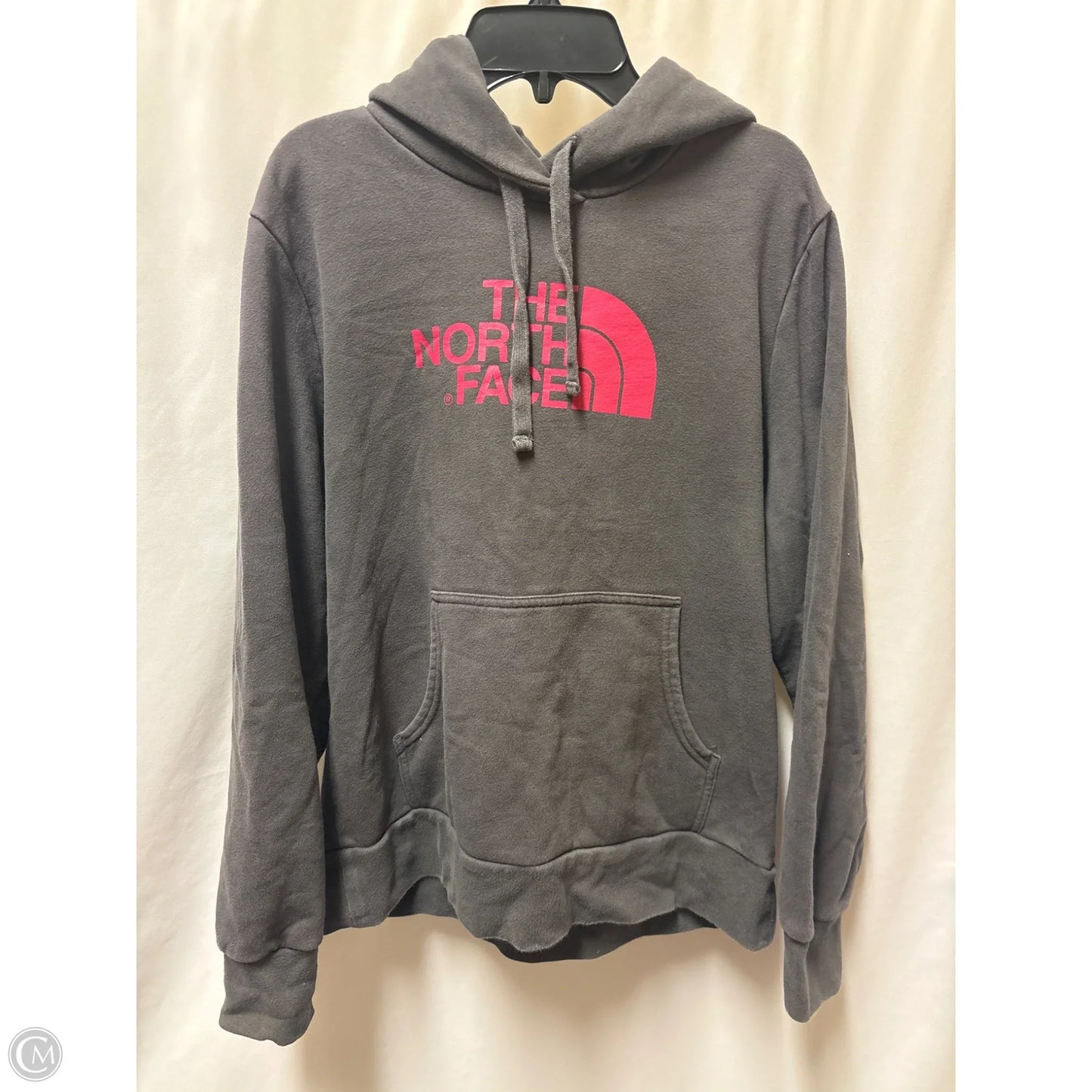 Sweatshirt Hoodie By The North Face In Grey, Size: L