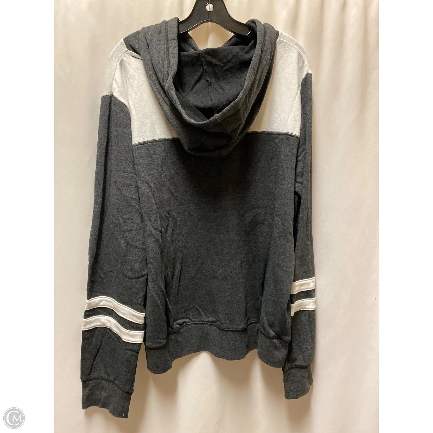 Sweatshirt Hoodie By Nfl In Grey, Size: 2x