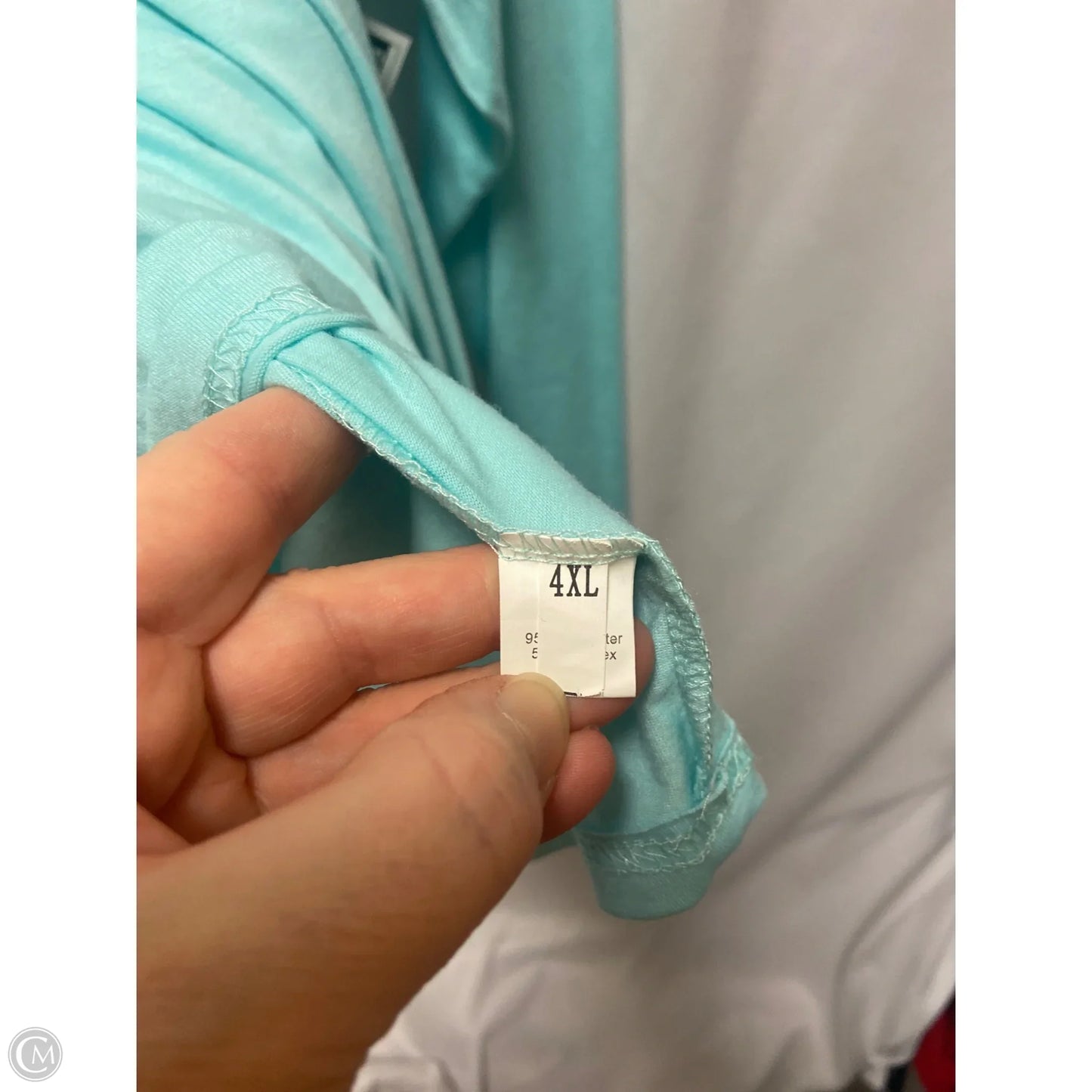 Top Long Sleeve By Clothes Mentor In Teal, Size: 4x