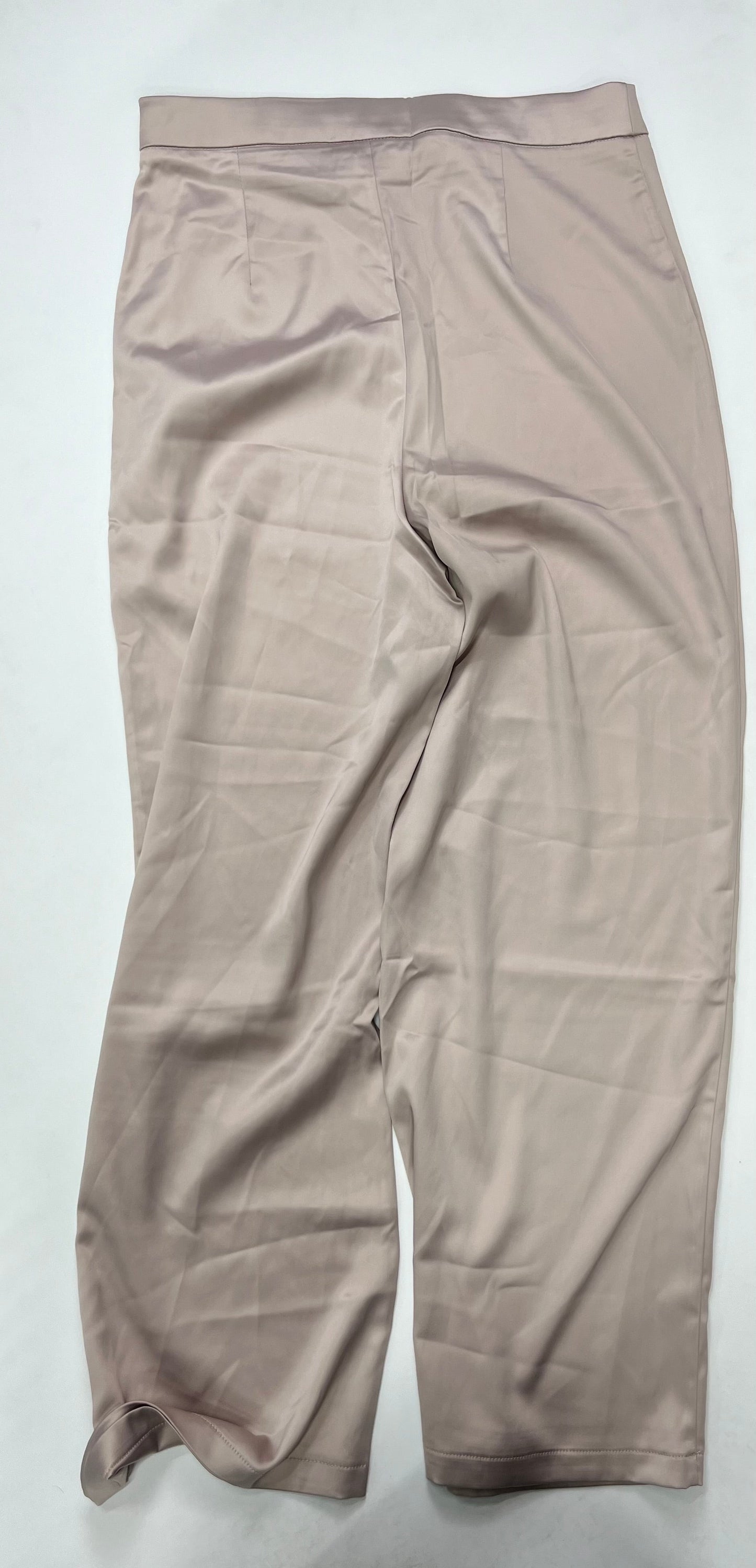 Pants Palazzo By Hyfve NWT Size: 12