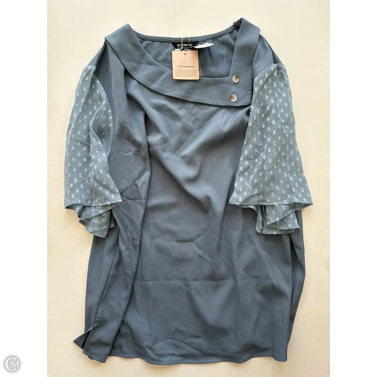 Blouse Long Sleeve By Clothes Mentor In Blue, Size: 1x