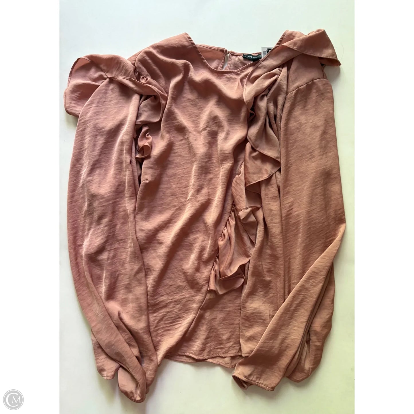 Blouse Long Sleeve By Lane Bryant In Bronze, Size: 4x