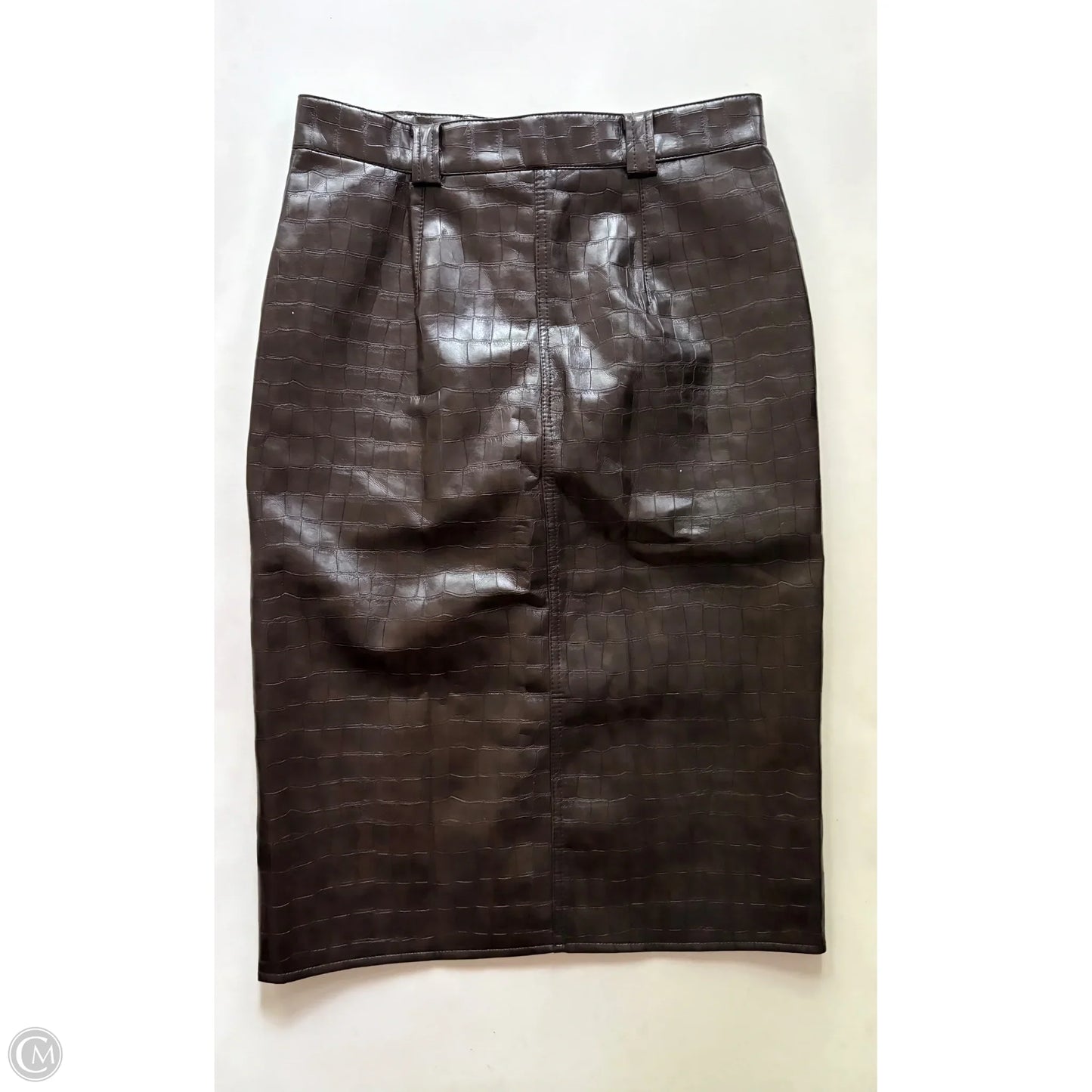 Skirt Maxi By H&m In Brown, Size: 12