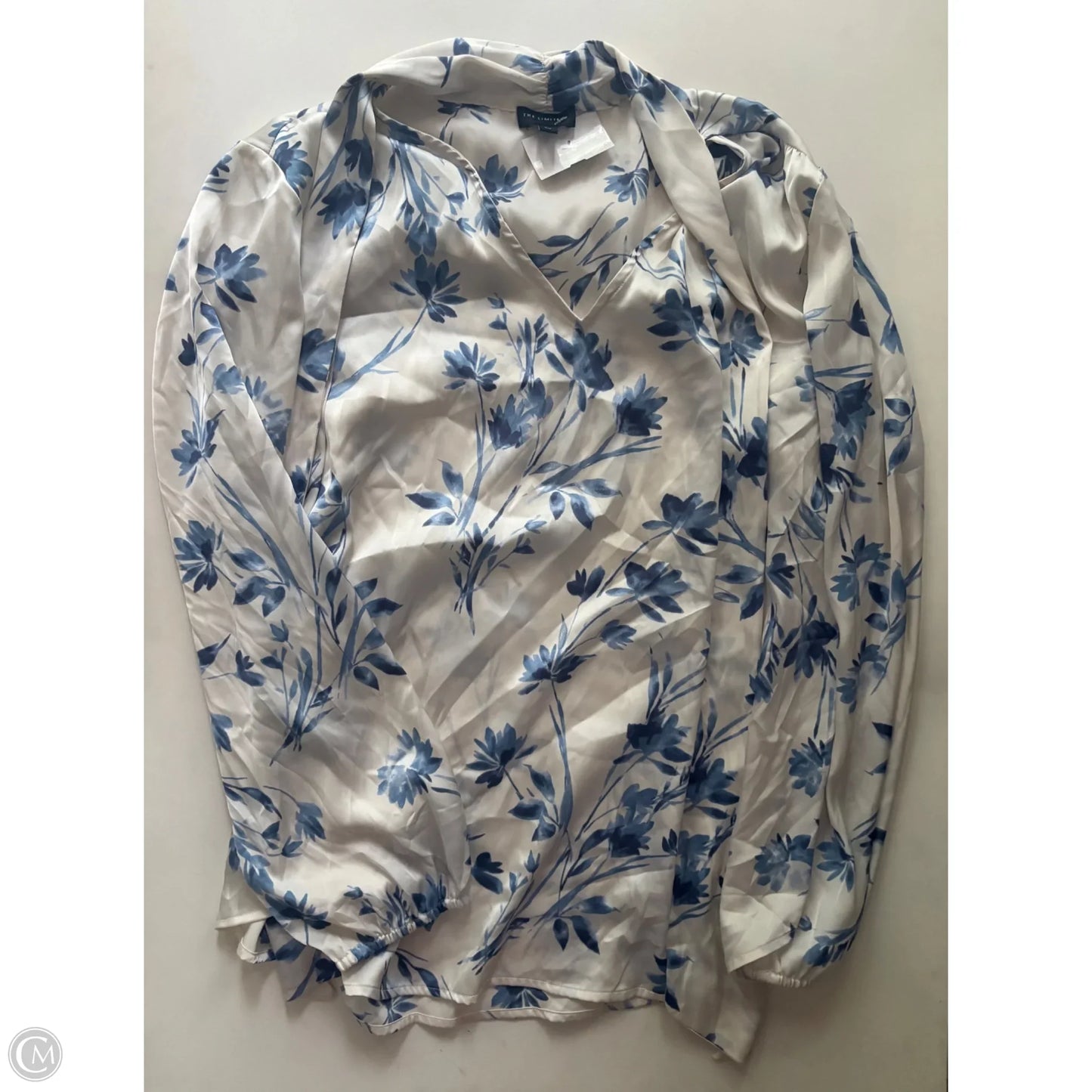 Blouse Long Sleeve By Limited In Blue & Cream, Size: 2x