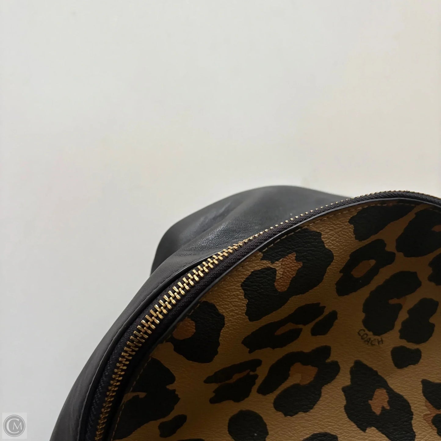 Backpack Designer By Coach, Size: Medium