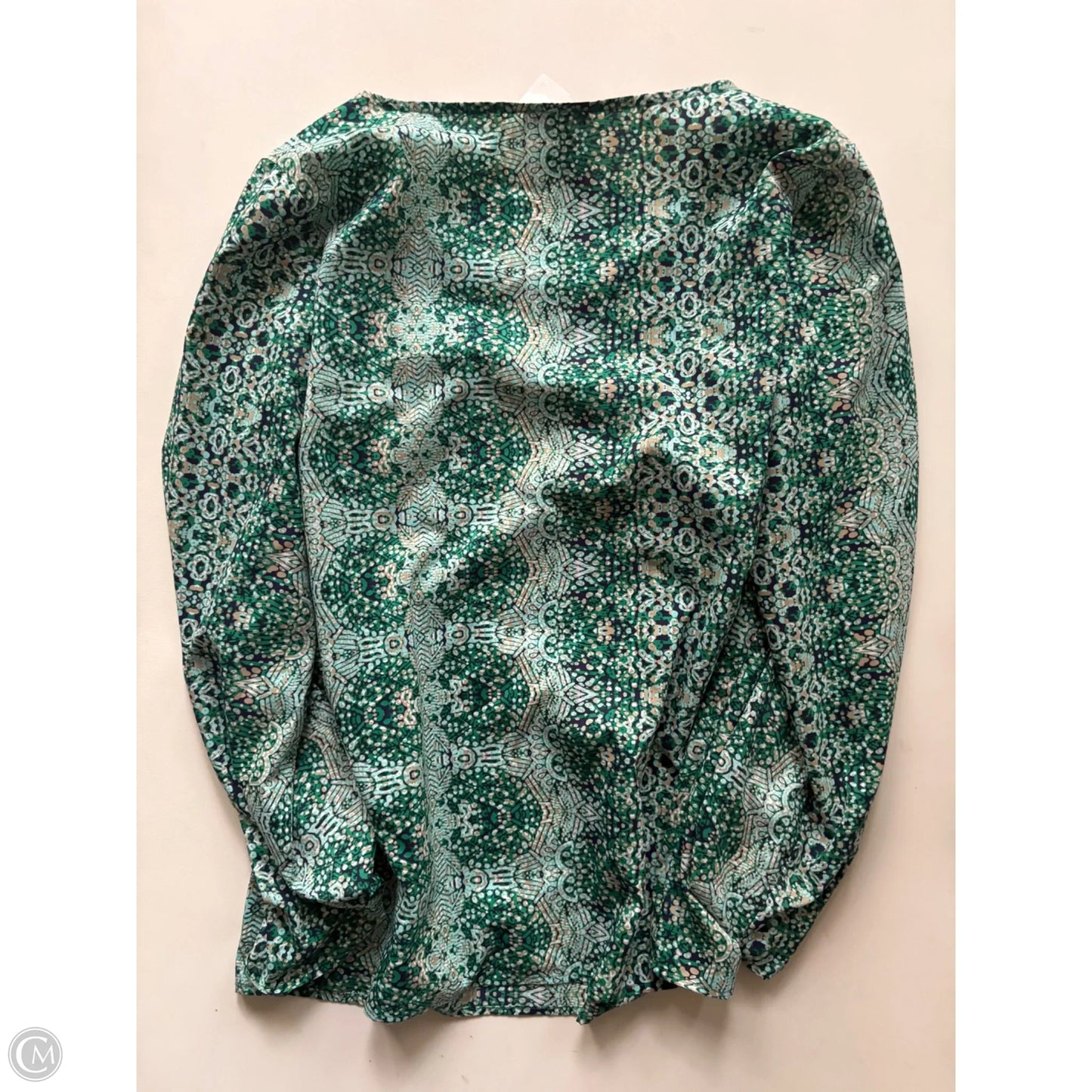 Blouse Long Sleeve By Limited In Green, Size: M