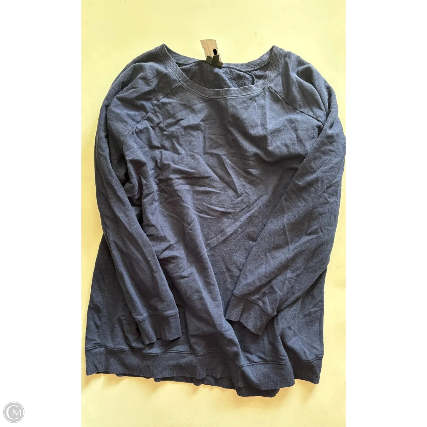 Sweatshirt Crewneck By Torrid In Navy, Size: 3x