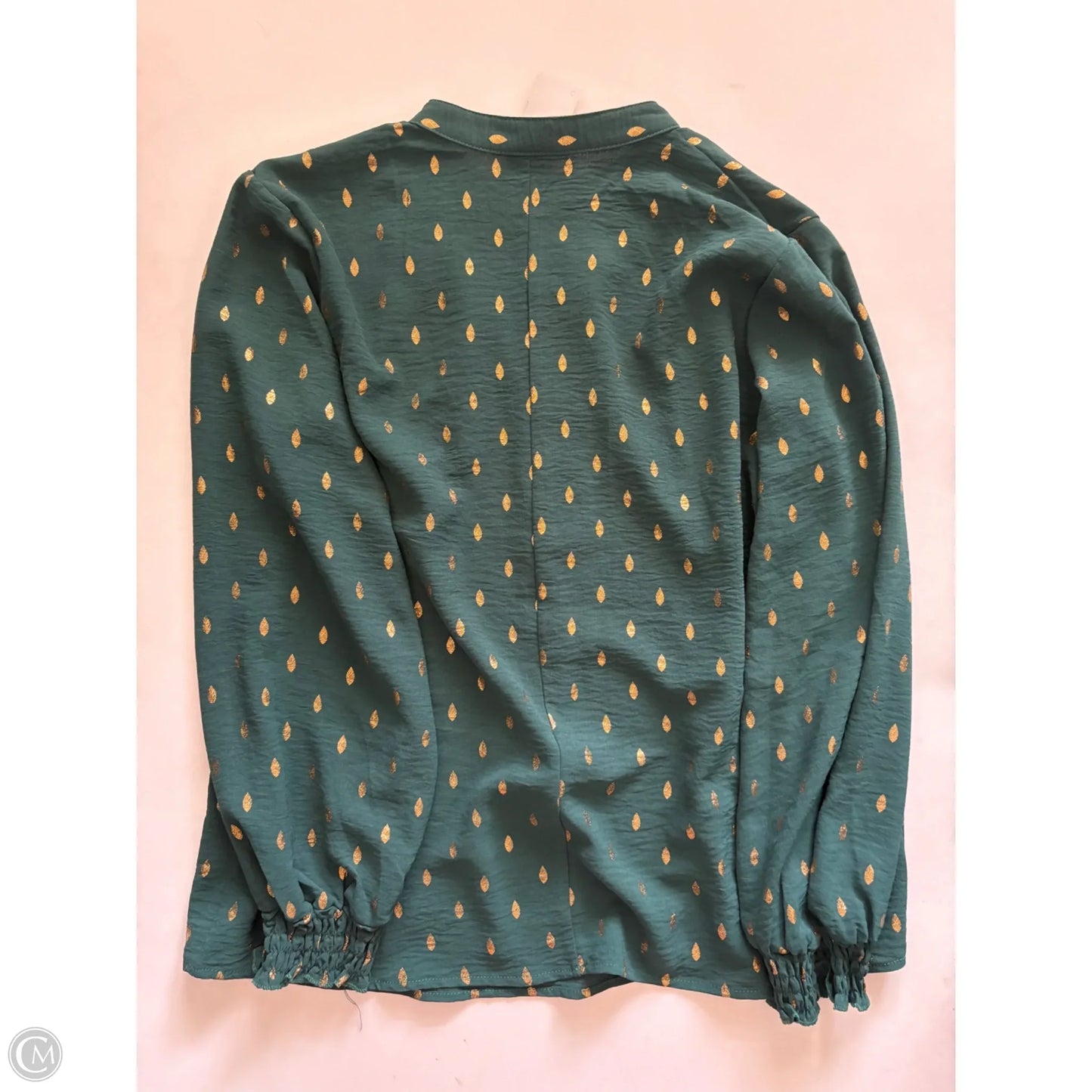 Blouse Long Sleeve By Mlle Gabrielle In Green, Size: M