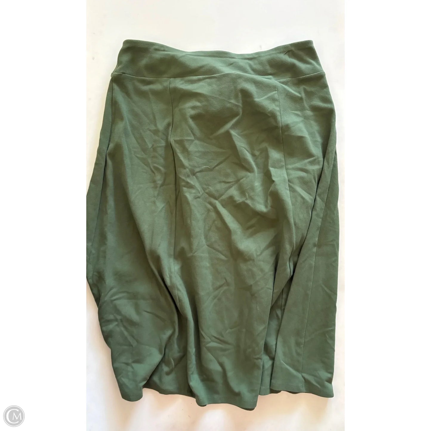 Skirt Mini & Short By Appleseeds In Green, Size: Xl