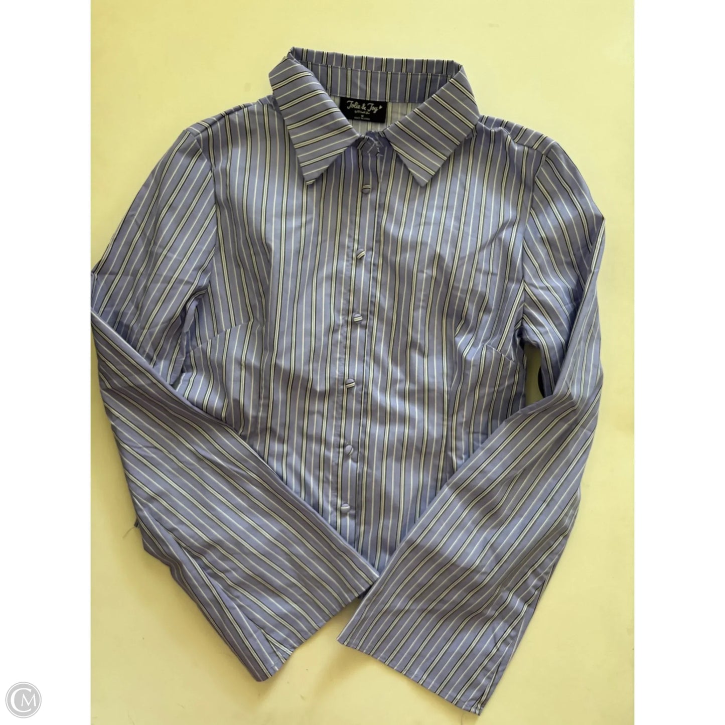 Top Long Sleeve By Jolie & Joy In Striped Pattern, Size: M