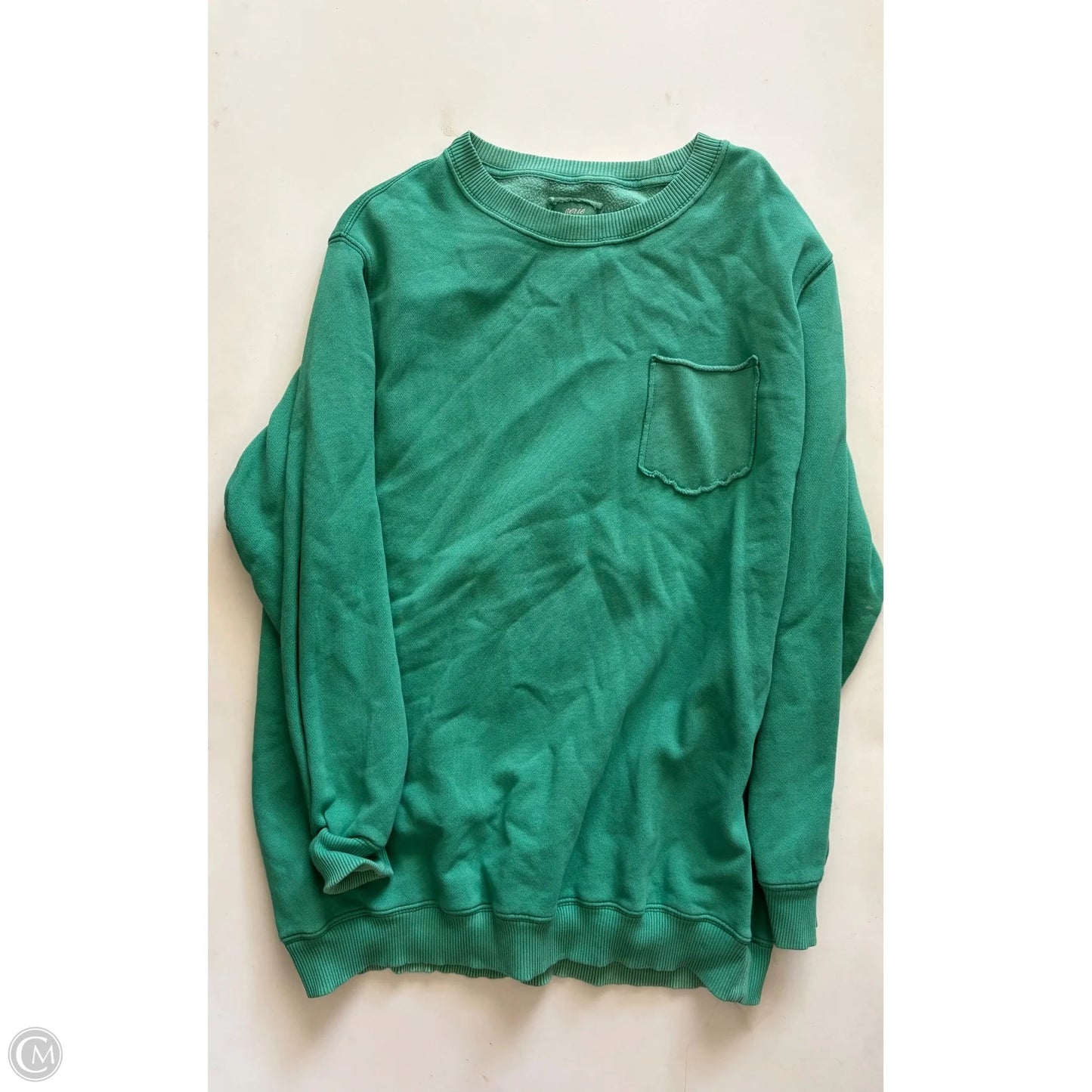 Sweatshirt Crewneck By Aerie In Green, Size: S