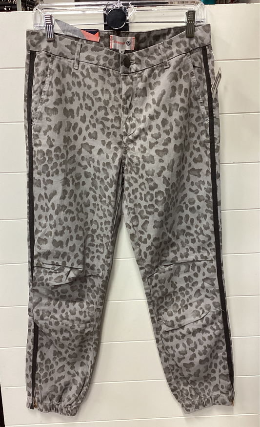 Pants Joggers By Sundry In Grey, Size:4