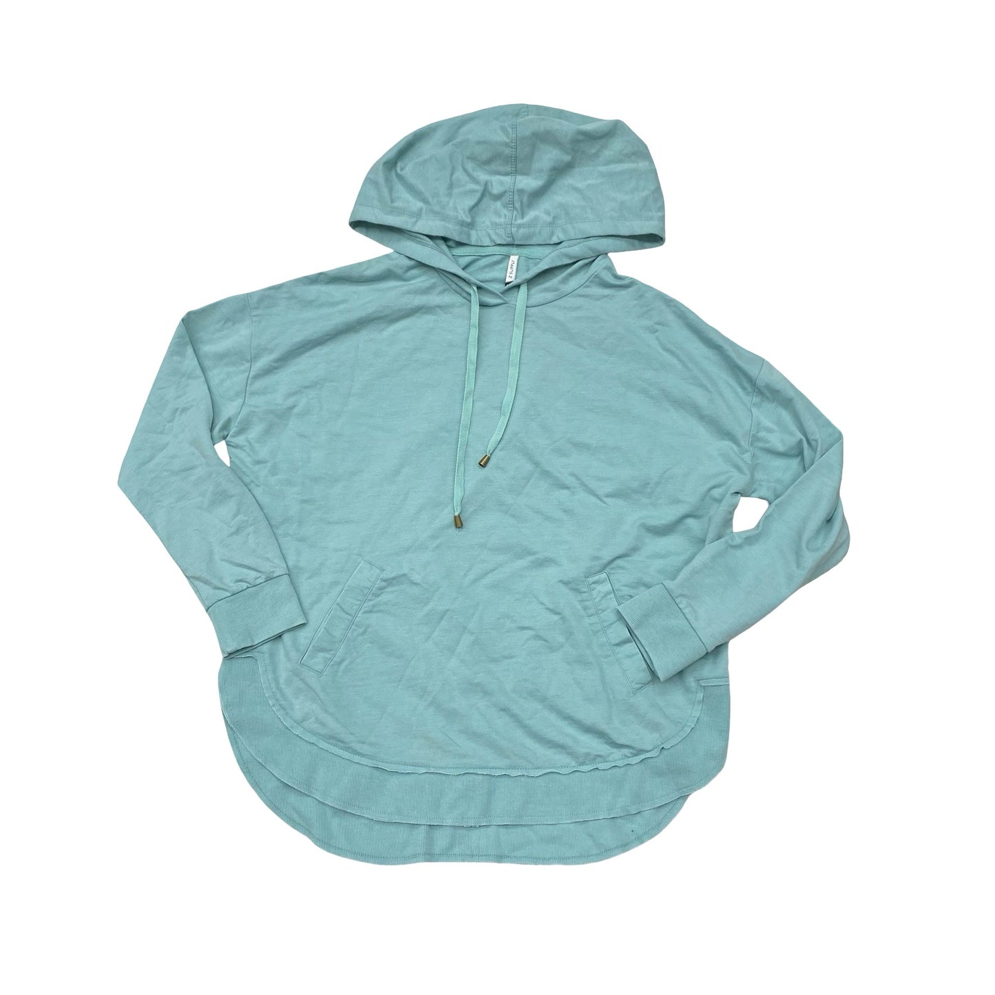 Sweatshirt Hoodie By Z Supply In Blue, Size:L