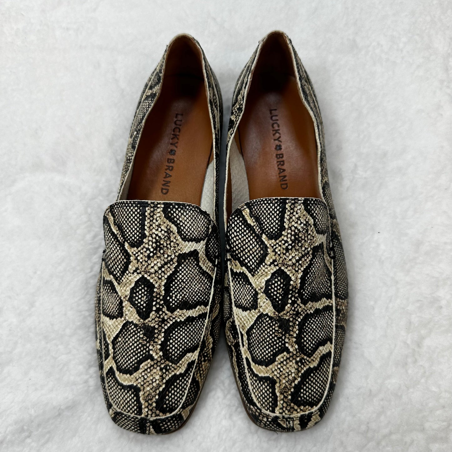 Snakeskin Print Shoes Flats Ballet Lucky Brand O, Size 7.5