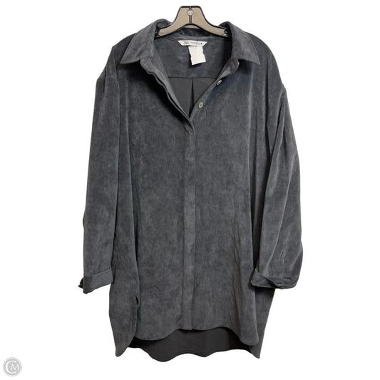 Top Long Sleeve By Zara In Grey, Size: Xxl