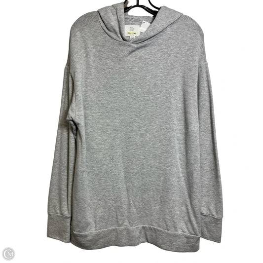 Sweatshirt Hoodie By Aerie In Grey, Size: Xs