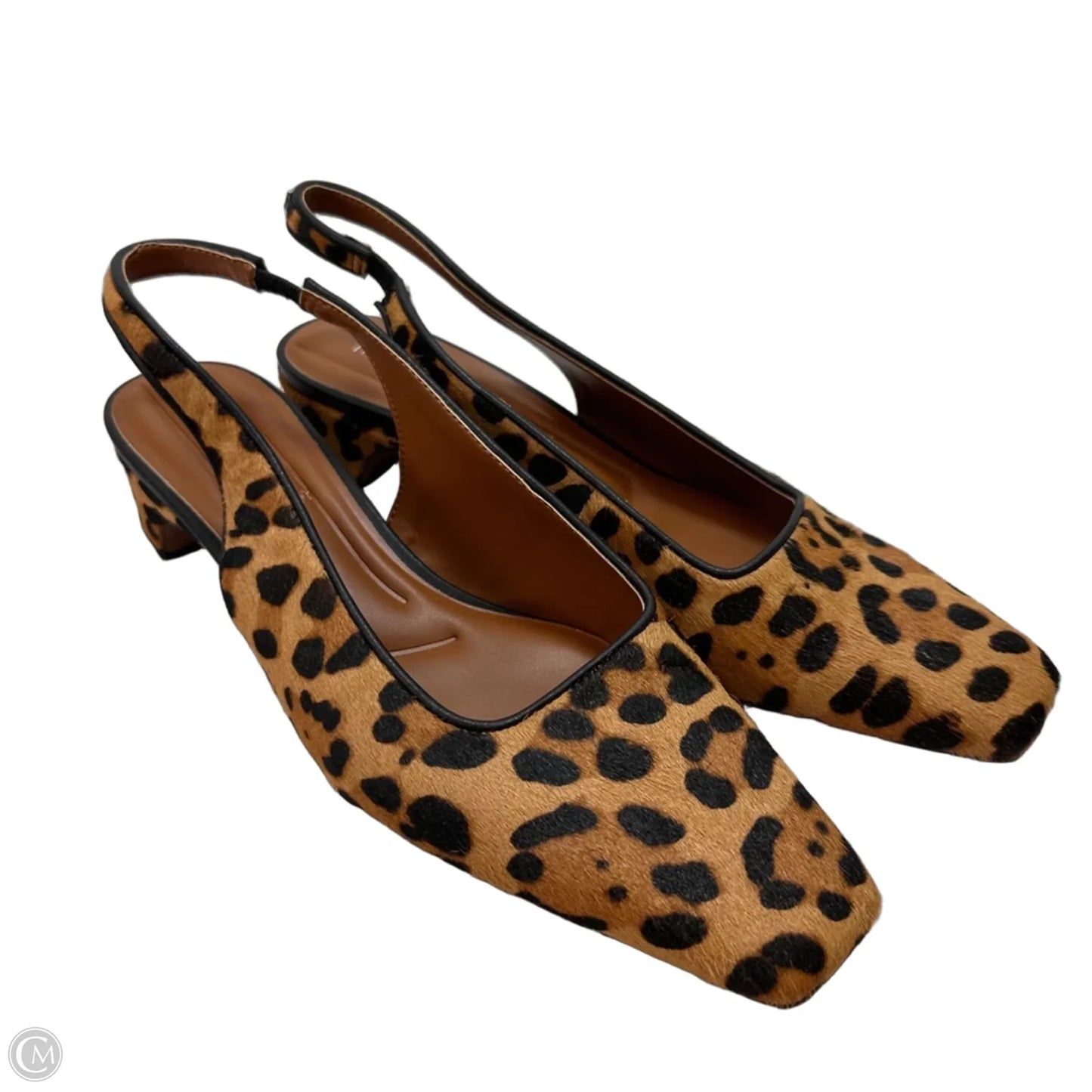 Shoes Flats By Franco Sarto In Animal Print, Size: 8