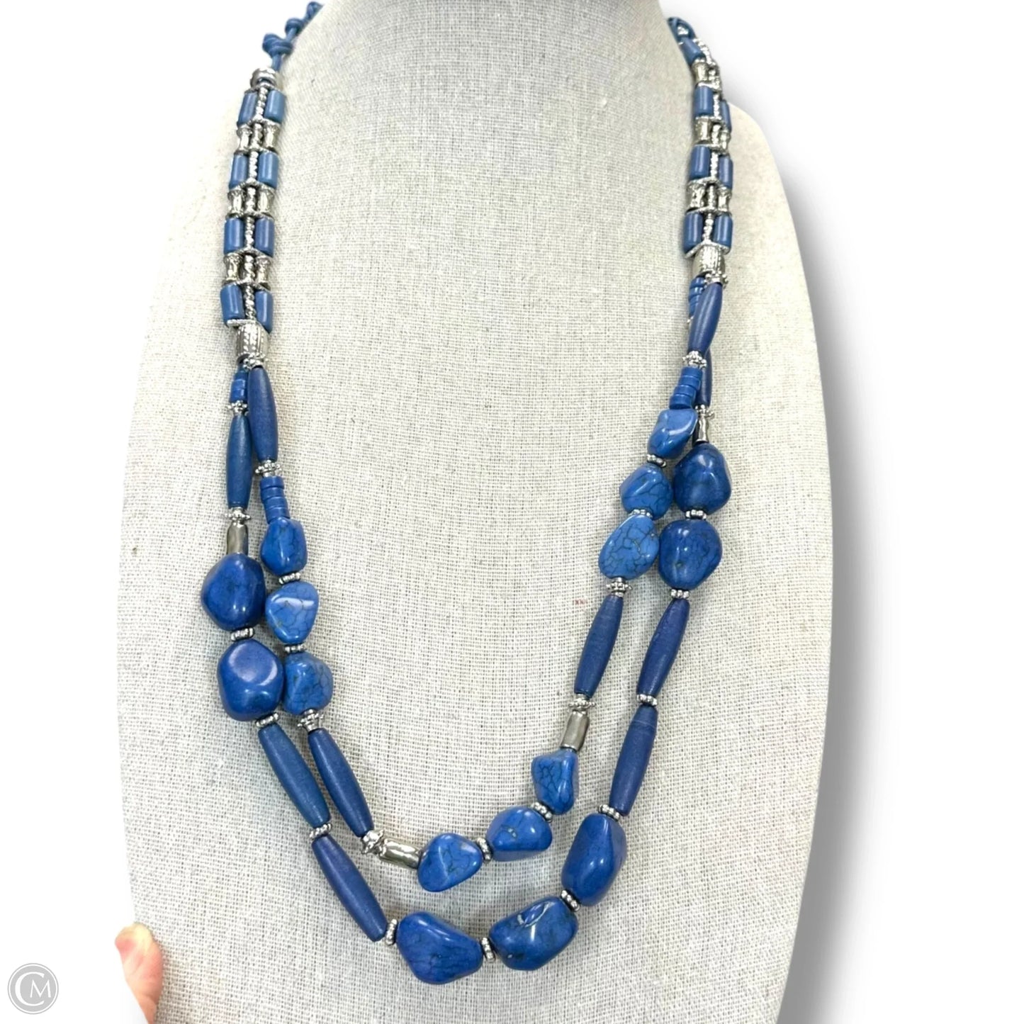 Necklace Chain By Clothes Mentor