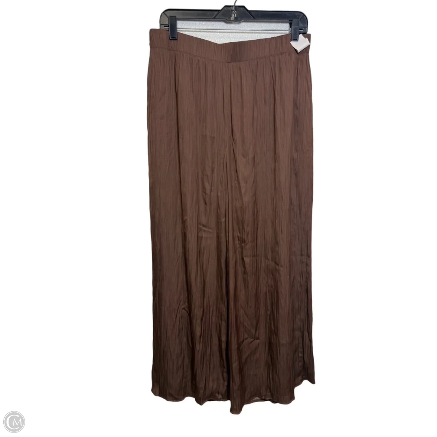 Pants Set 2pc By Z Supply In Brown, Size: L