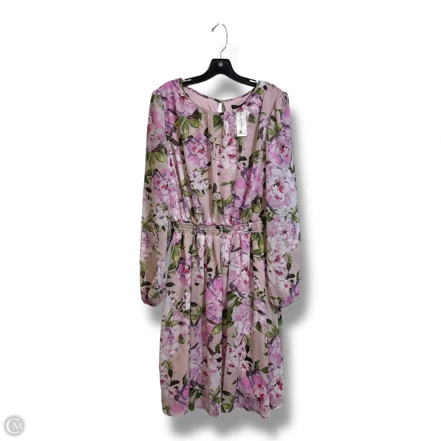 Dress Party Short By Lane Bryant In Floral Print, Size: 18