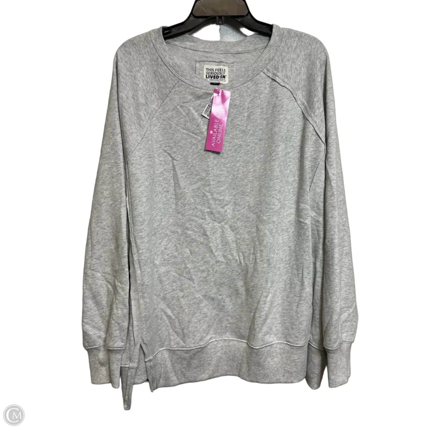 Sweatshirt Crewneck By American Eagle In Grey, Size: Xl