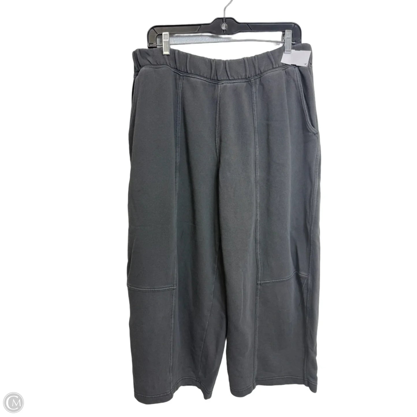 Pants Lounge By Aerie In Grey, Size: L