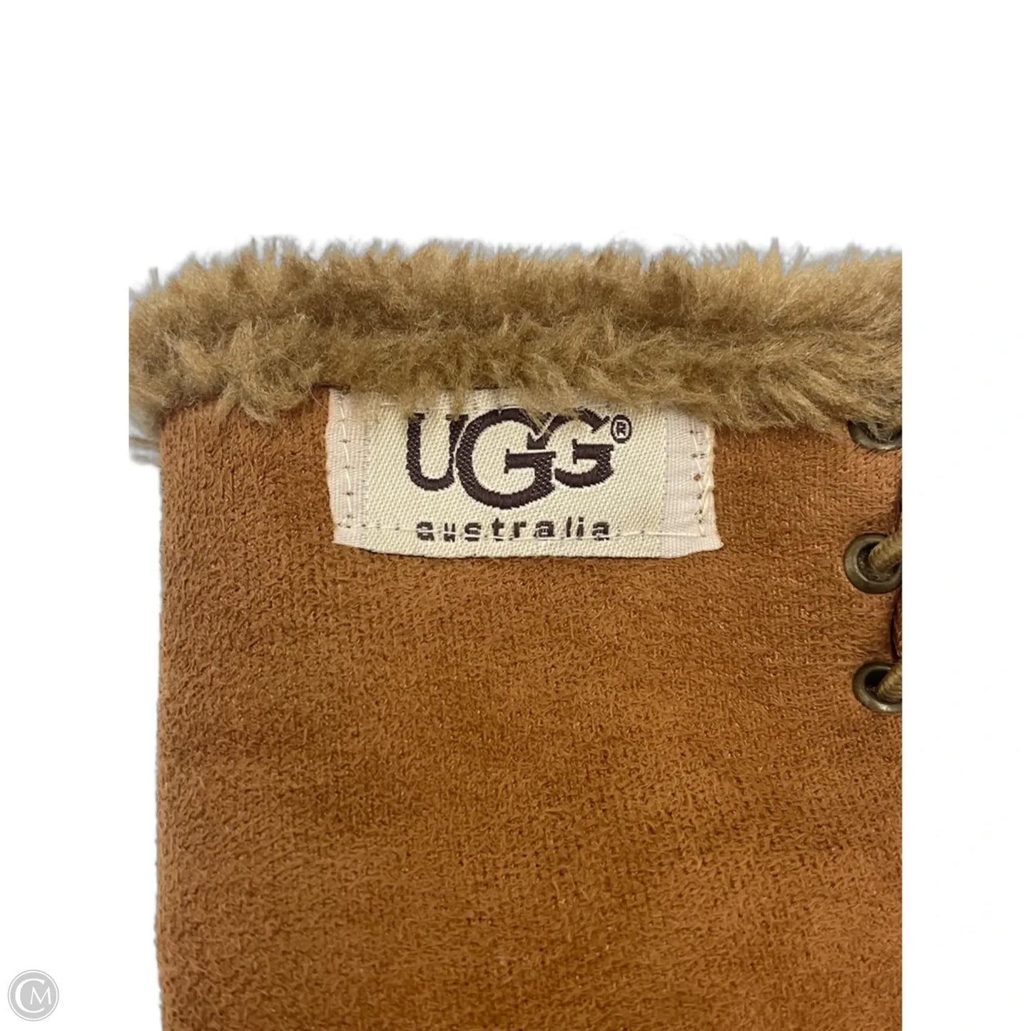 Hand Warmer Gloves Designer By UGG