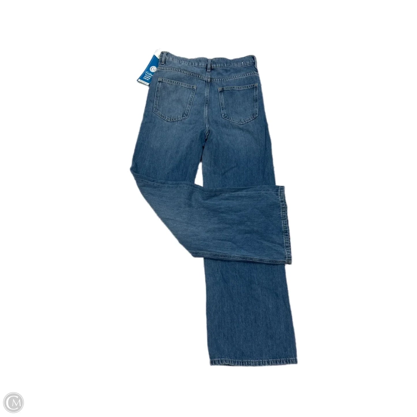 Jeans Wide Leg By Zara In Blue, Size: 0