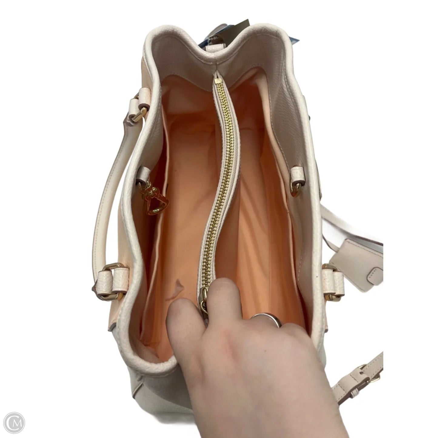 Handbag Designer By Coach