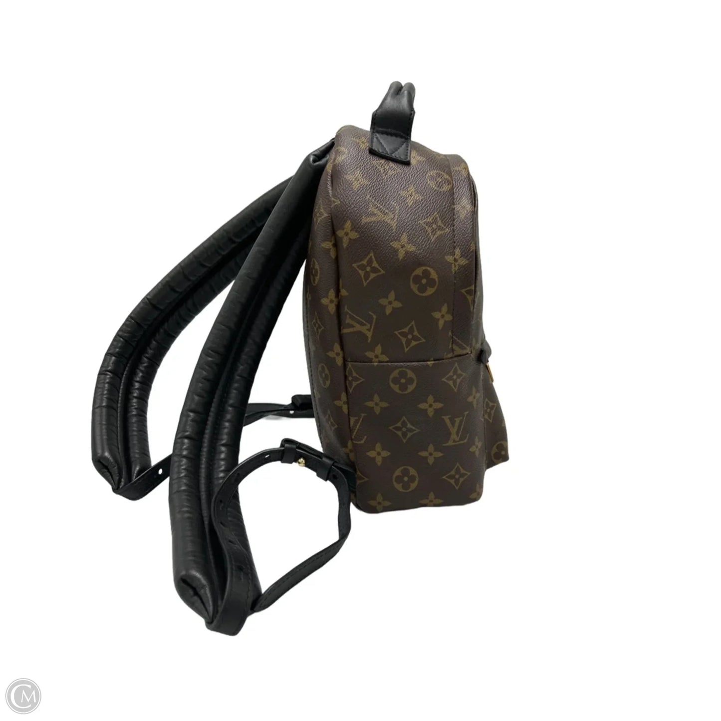 Louis Vuitton Palm Springs Luxury Backpack Handbag