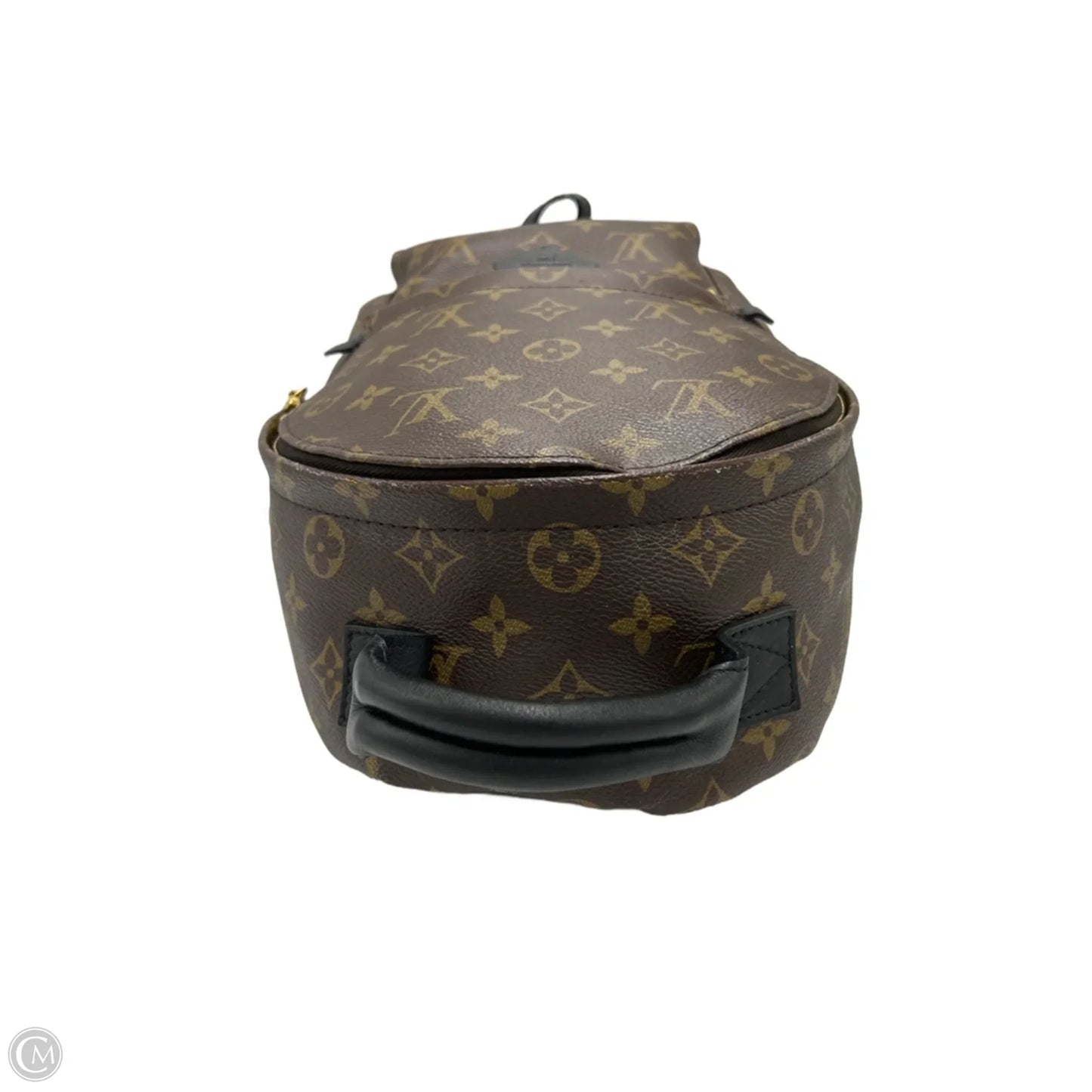 Louis Vuitton Palm Springs Luxury Backpack Handbag