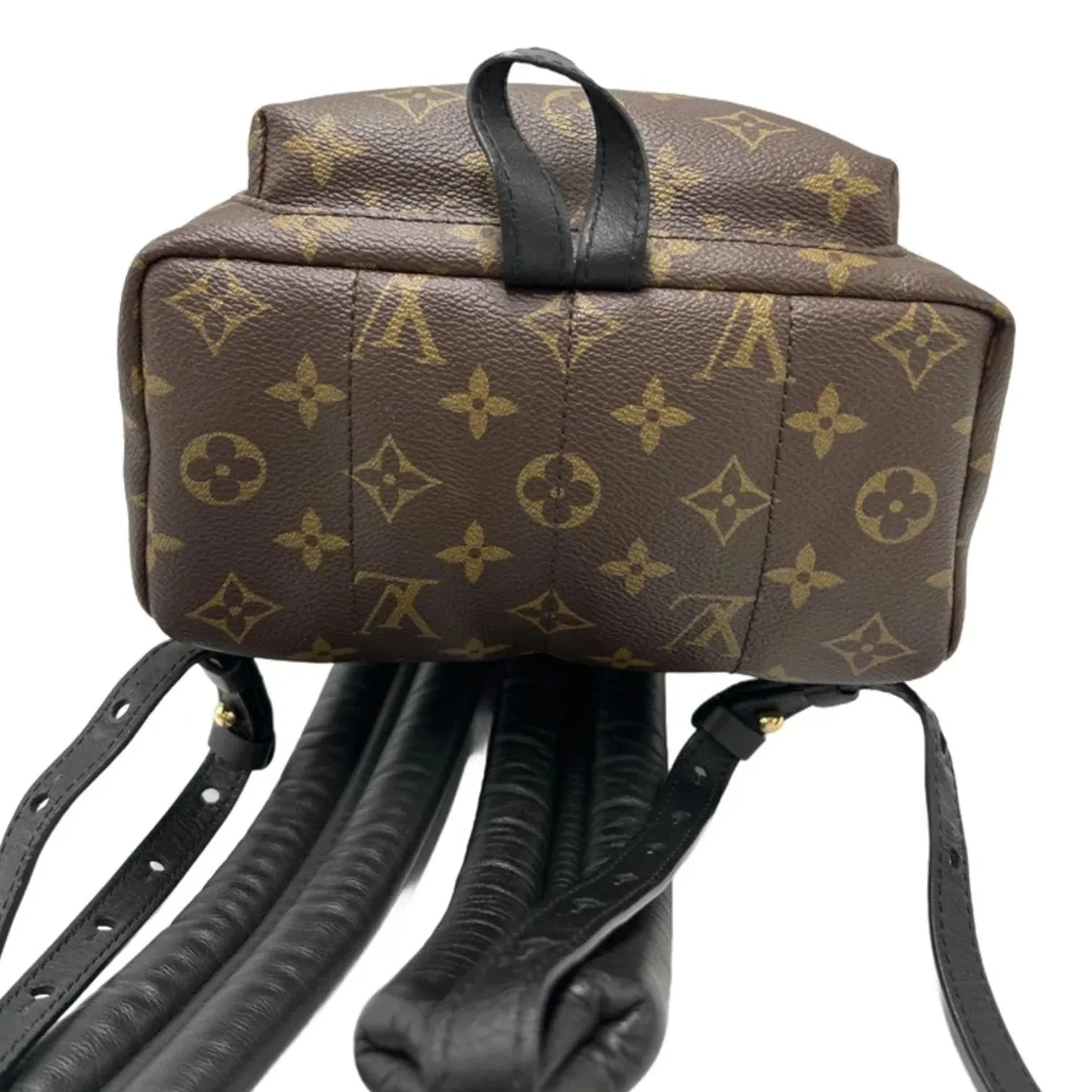 Louis Vuitton Palm Springs Luxury Backpack Handbag