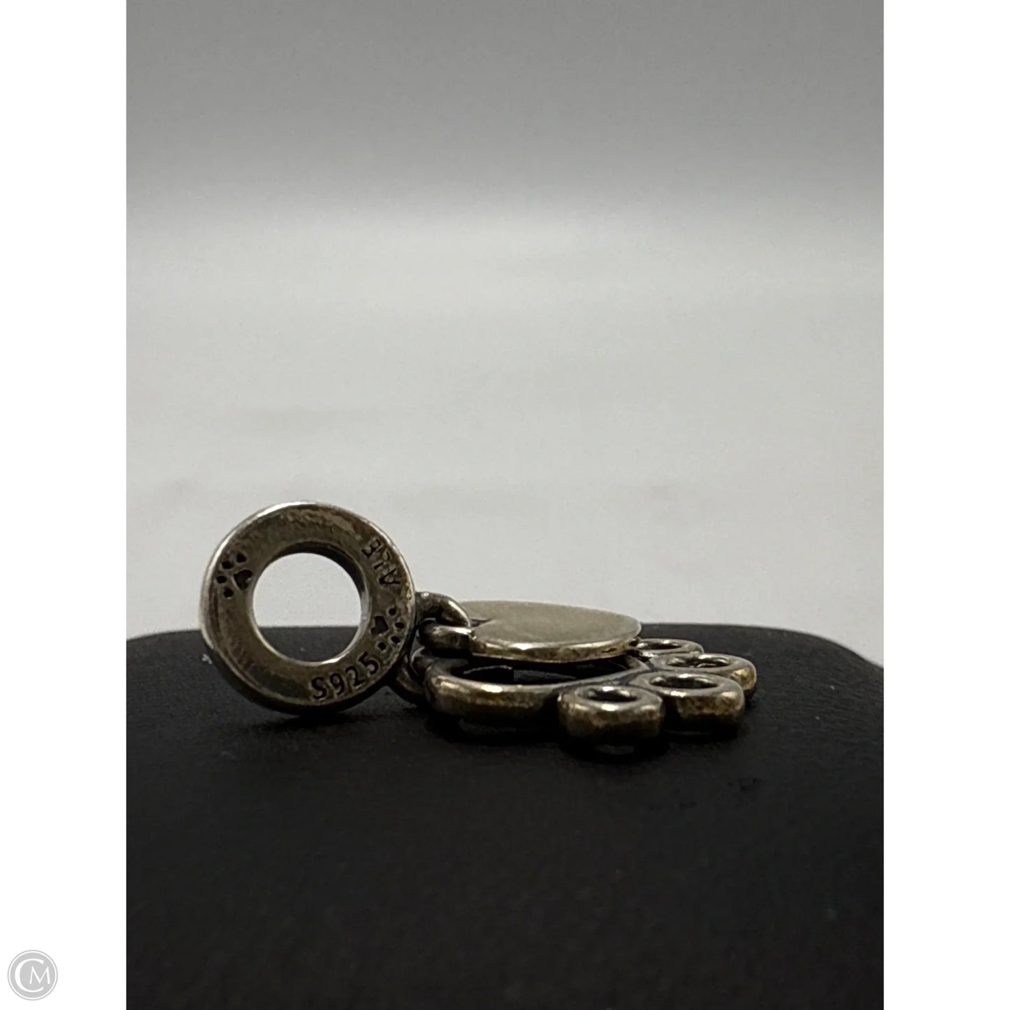 Pawprints on my Heart Charm By Pandora