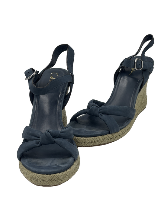 Shoes Heels Wedge By Cole-Haan In Blue, Size: 11