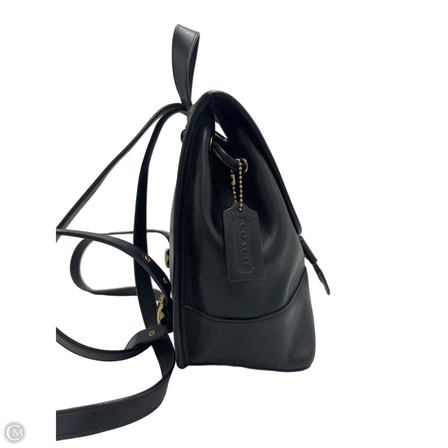 Coach Daypack Designer Backpack