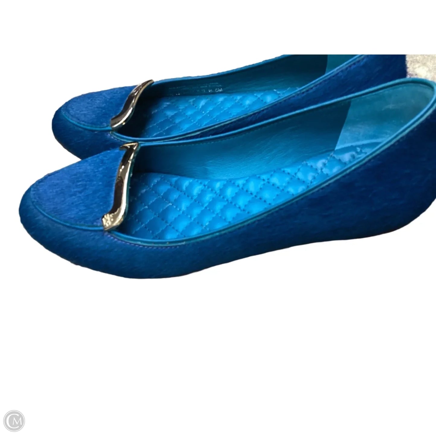 Shoes Designer By Tory Burch In Blue, Size: 5