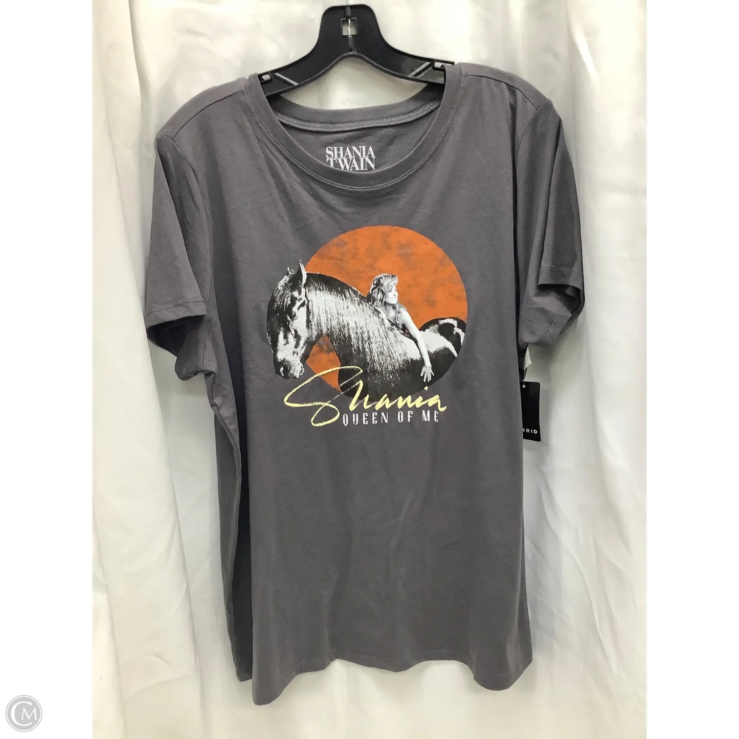 Top Short Sleeve By Torrid In Grey, Size: 1x