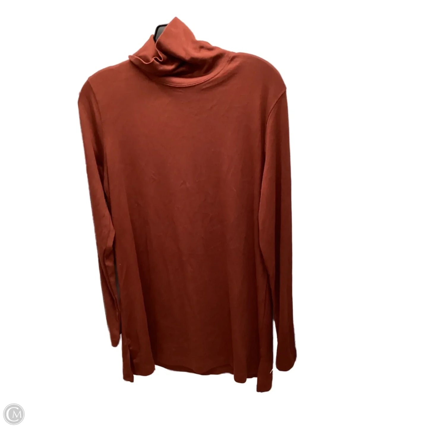 Top Long Sleeve By Lands End In Brown, Size: 10