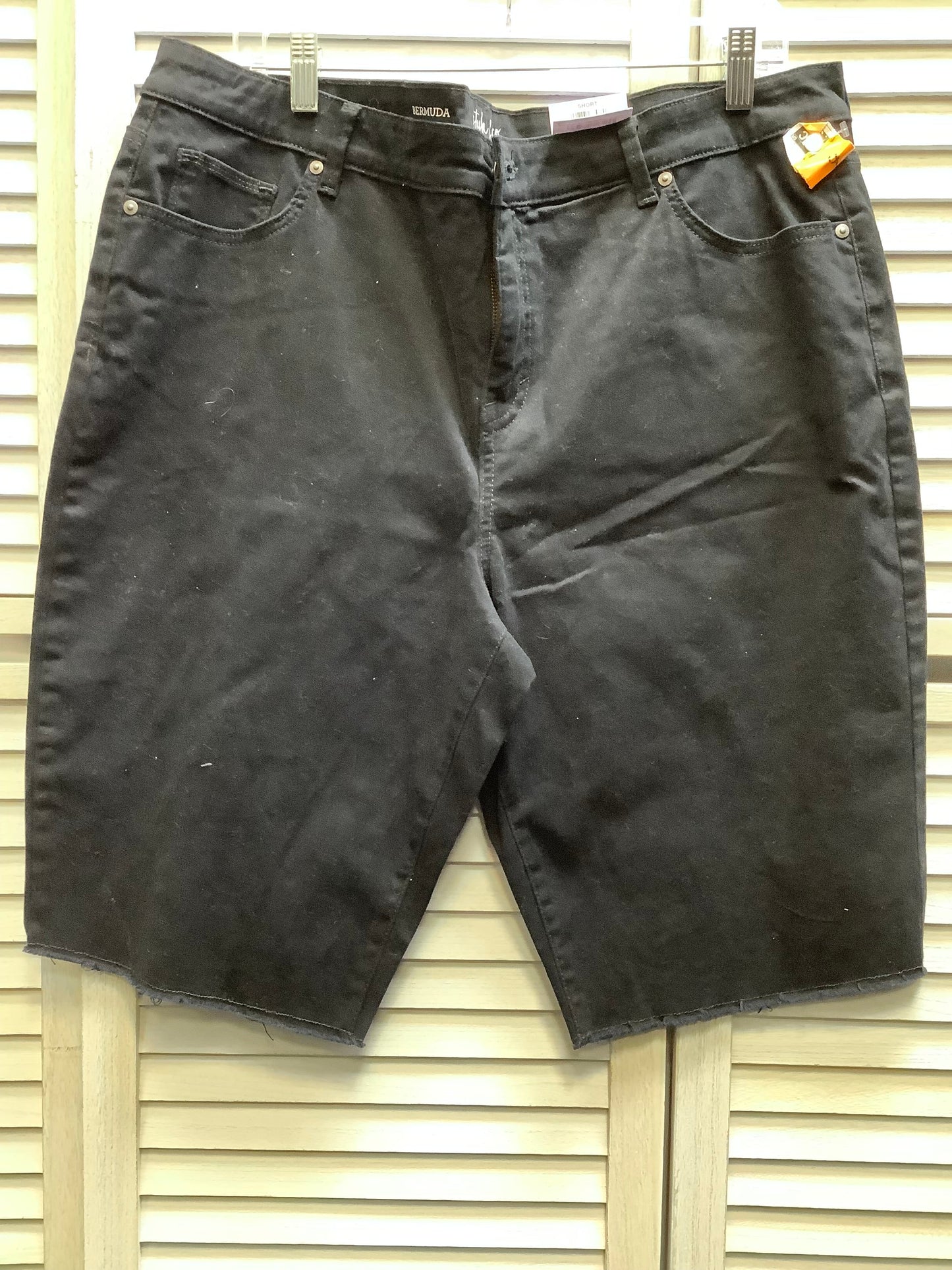 Black Shorts Style And Company, Size 18