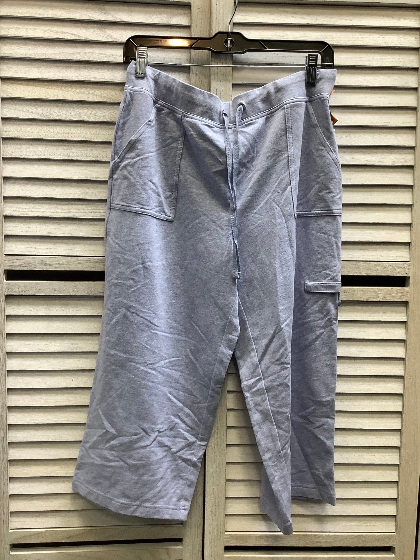 Athletic Pants By Karen Scott In Light Blue, Size: M