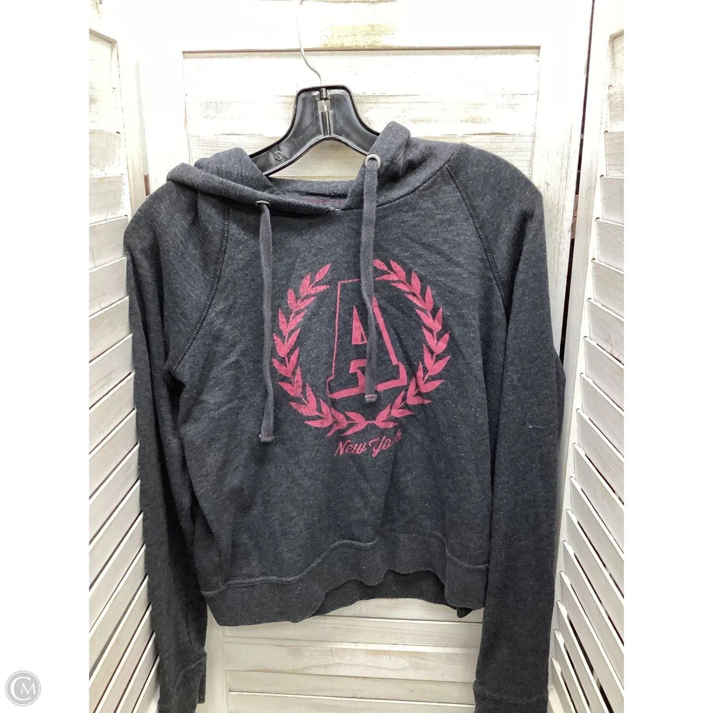 Sweatshirt Hoodie By Aeropostale In Grey, Size: S
