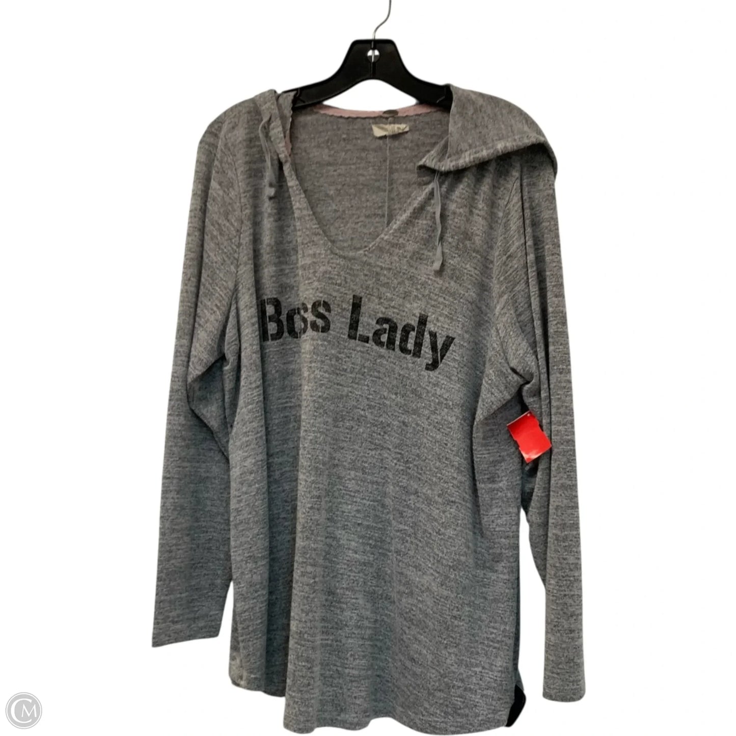 Top Long Sleeve By Cupio In Grey, Size: 1x