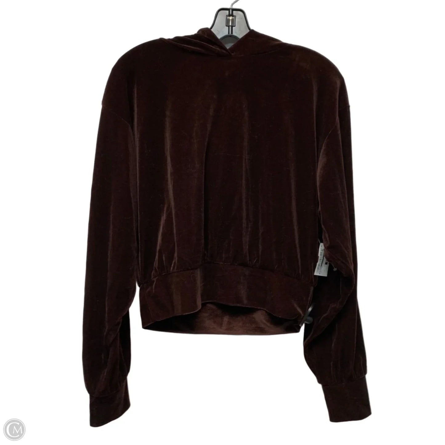 Sweatshirt Hoodie By Express In Brown, Size: M