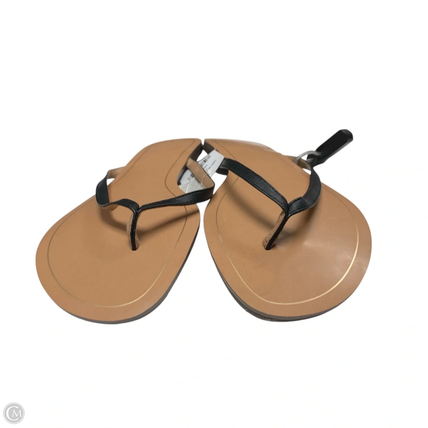 Sandals Flip Flops By Banana Republic In Black & Brown, Size: 9