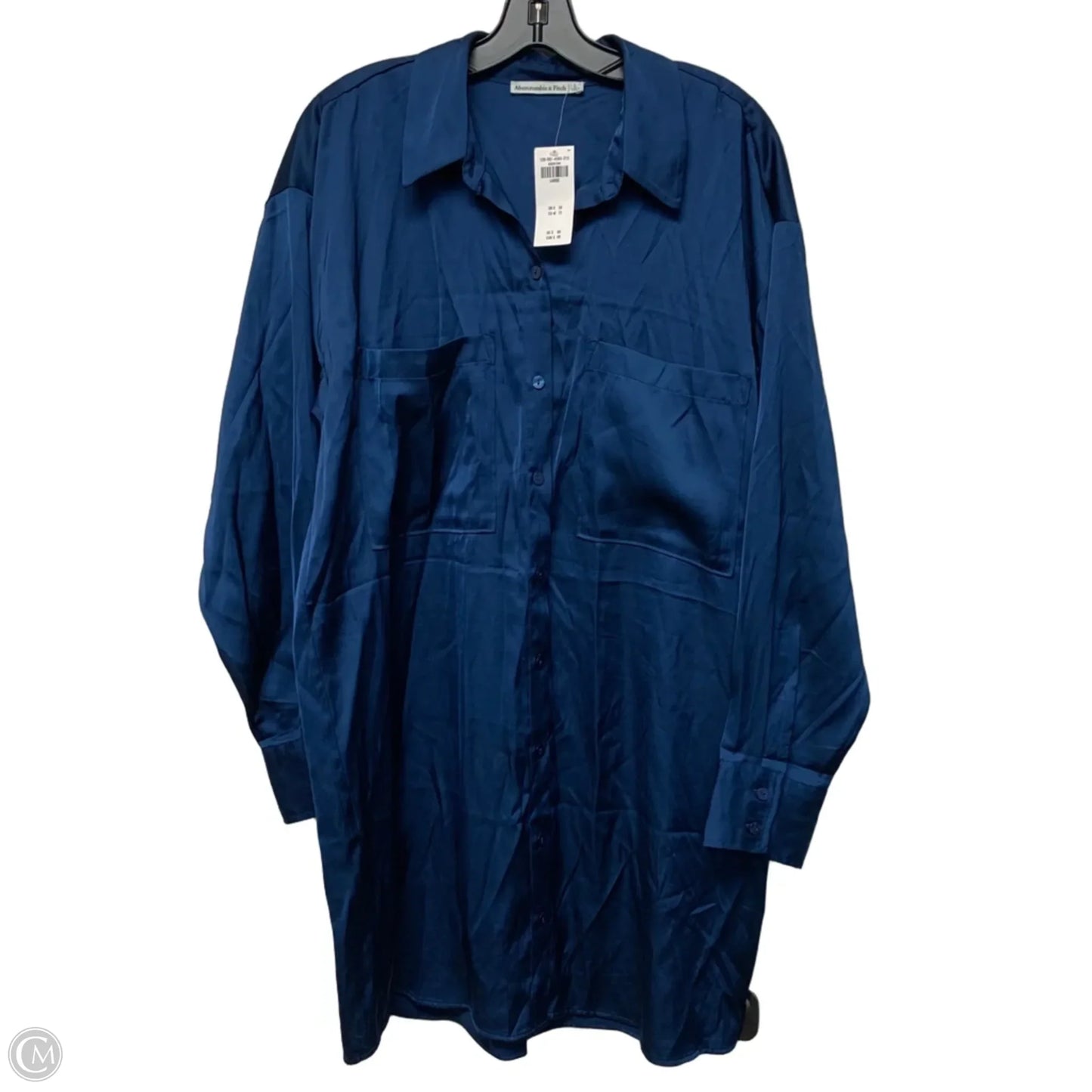 Tunic Long Sleeve By Abercrombie And Fitch In Blue, Size: L
