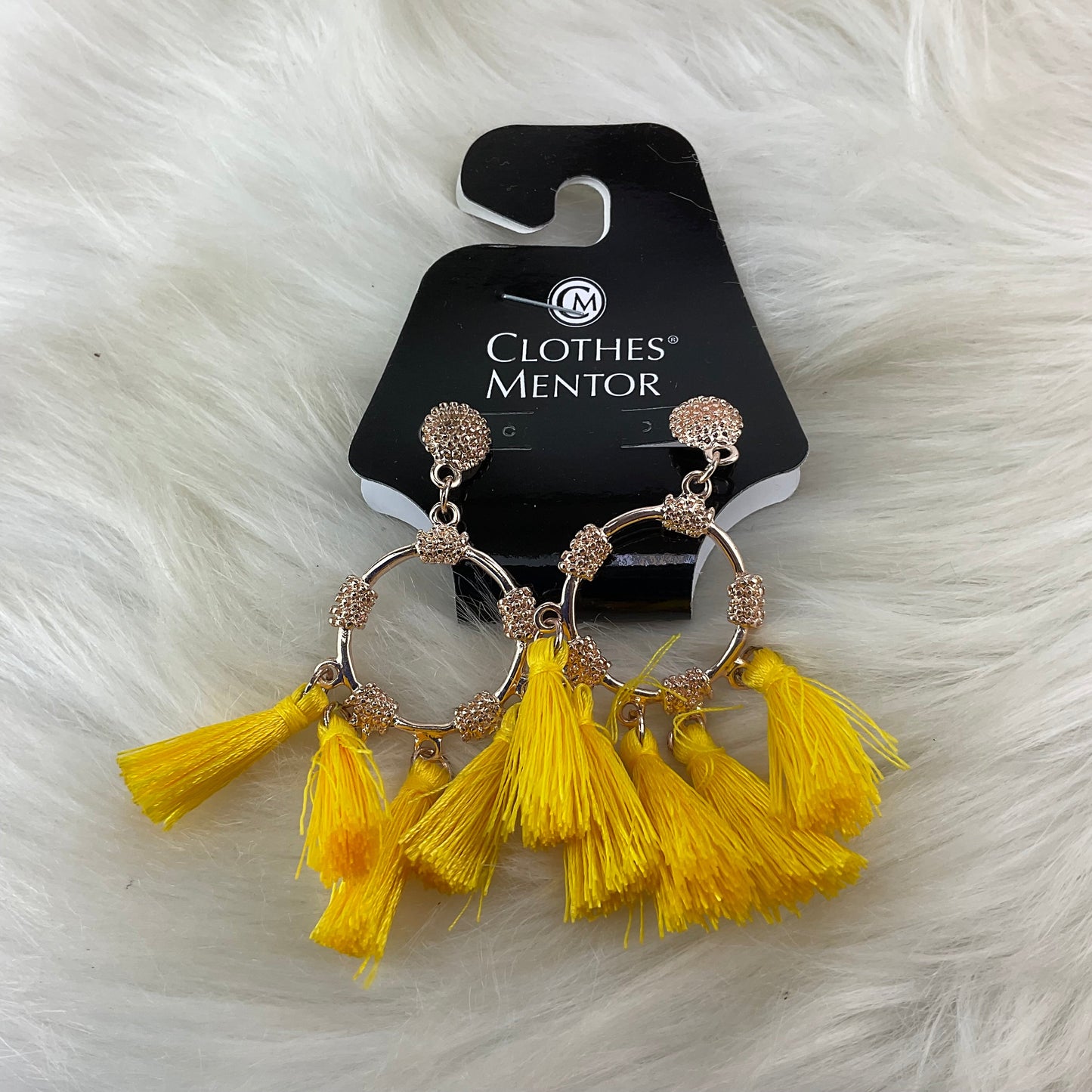 Earrings Dangle/drop Clothes Mentor